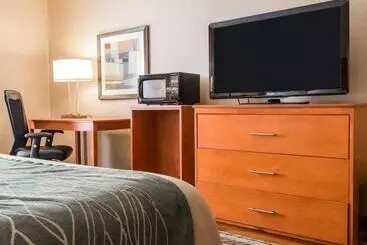 Отель Comfort Inn Metro Airport