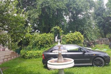 Pensão Vila Elena Si Ionut