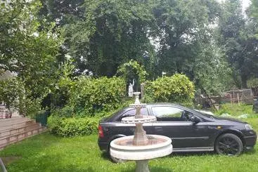 Majatalo Vila Elena Si Ionut