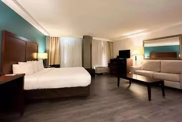 酒店 Comfort Inn & Suites Kissimmee By The Parks