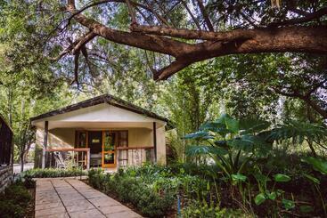 Pension Villiera Guesthouse