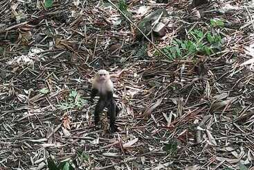 هتل Sun & Moon Paradise