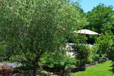 Bed and Breakfast L'oliu De L'oustalet