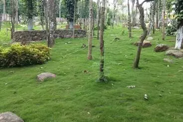 The Brook Resorts & Spa