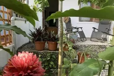 Appartamento Domus Rio Papagaio