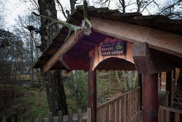 Casa Beaver Creek Lodge