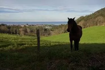 ツーリストアパートメント Apartamentos La Collada