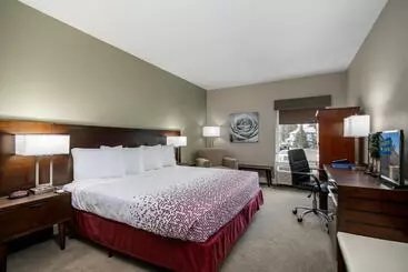 酒店 Hillside Inn Pagosa