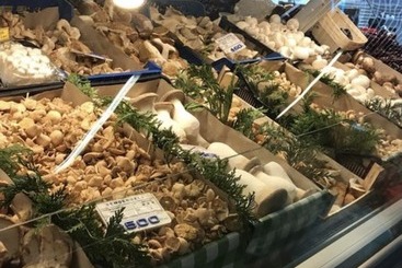 شقق خاصة سياحية Apartamento Guggenheim Bilbao