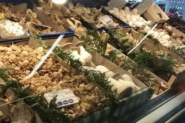 ツーリストアパートメント Apartamento Guggenheim Bilbao