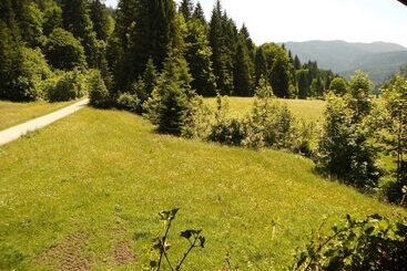 Apartamenty turystyczne Seewiesenalm