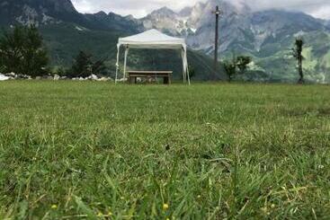 Pensjonat Guesthouse Freskia