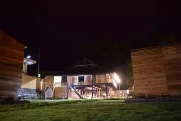 هاستل The Art   Golden Jungle House