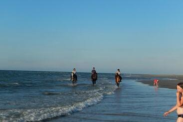 De Cyprian Bed & Breakfast