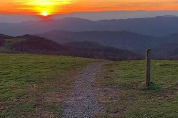 فندق صغير Laughing Heart Lodge