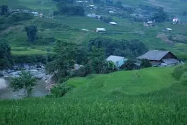 Pensión Opal House