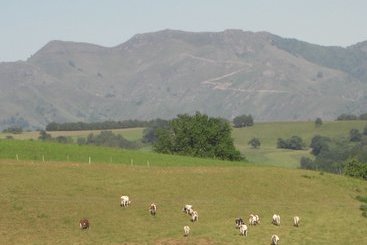 관광객 아파트 Guéraçague Etcheverry Garaya