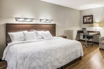 בית מלון כפרי Red Roof Inn Plus+ Boston   Woburn/ Burlington