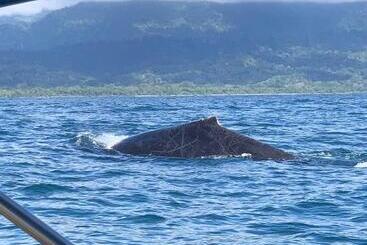 ホテル Coco Beach Village