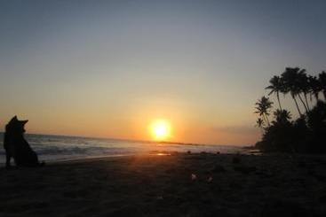 Pension Samanthi Guesthouse