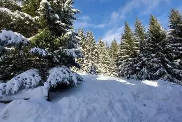 アパートメント Haus Heidelberg