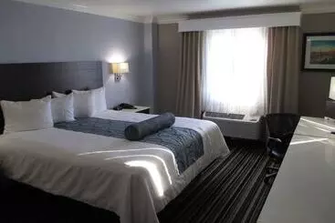 モーテル Best Western Plus Diamond Valley Inn