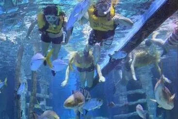 リゾートホテル Rumfish Beach At Tradewinds