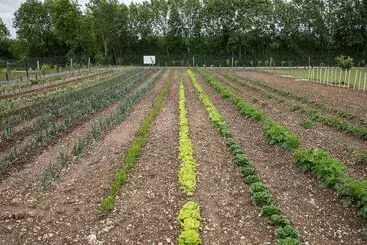 تختخواب و صبحانه Best Saintonge