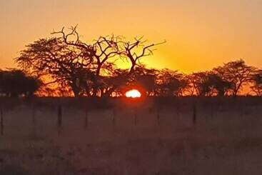 Hotel Okaputa Guest Farm