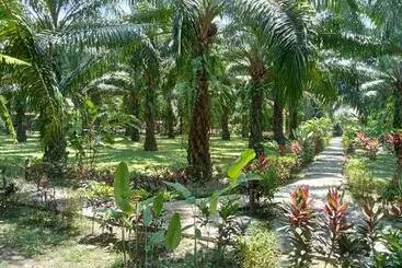 Hotelli Khao Sok Palm Garden Resort