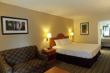 Otel Best Western Of Murphy