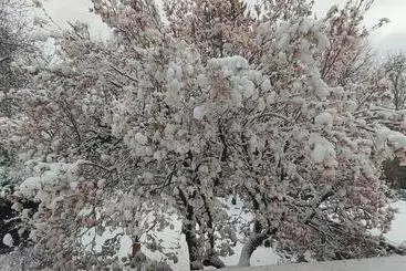 Privat Pension Doemens