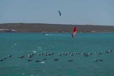 The Shark Bay Boutique Hotel & Spa