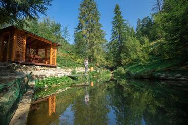 Hotel резорт тростян