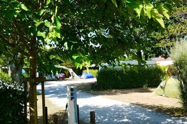 Отель Camping La Corniche