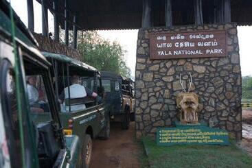 Pensió Serene Niche