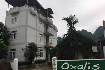 هتل Oxalis Home