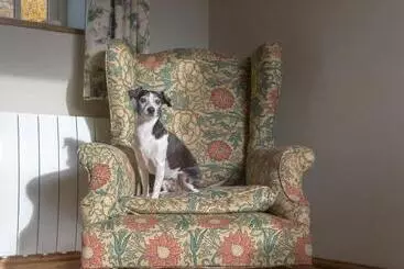 Bed and Breakfast The Rear Of The Plough,everdon