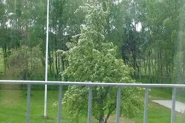 Hejdebo Pensionat & Vandrarhem Hostel