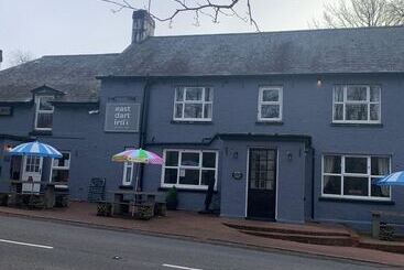 Bed and Breakfast East Dart Inn