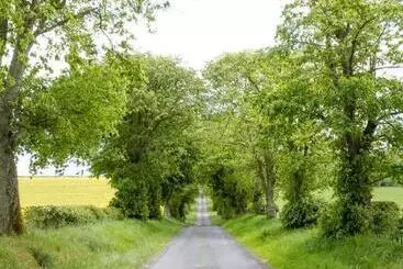 Bed and Breakfast Whitehouse Country House