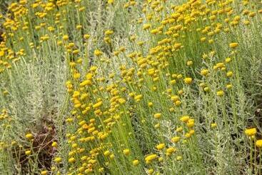 Bed and Breakfast Holiday Prato Verde