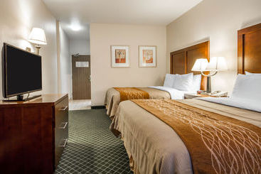 Отель Comfort Inn & Suites Oakland