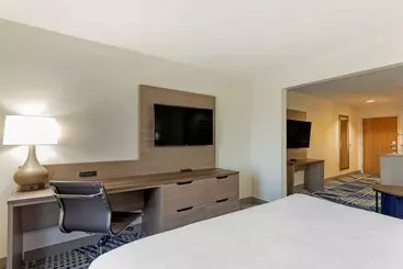 ホテル Comfort Inn & Suites Hot Springs Midtown