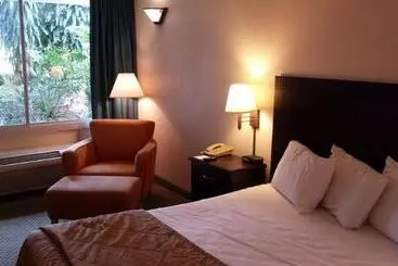 فندق Vista Inn And Suites Tampa