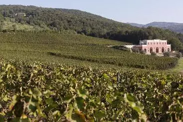 Hôtel Rural Tenuta Il Sassone   Wine & Food