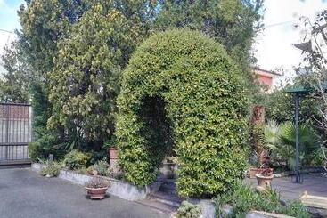 Bed and Breakfast La Rocca Del Gelsomino