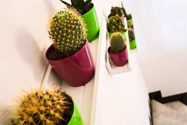 پانسیون Ficurinia Guest House