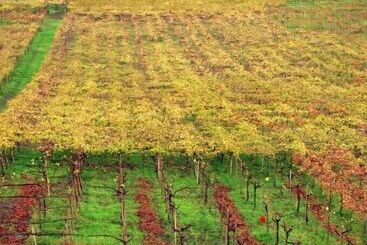 Pensjonat Casale Del Gelso