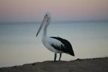 Resort Mackerel Islands